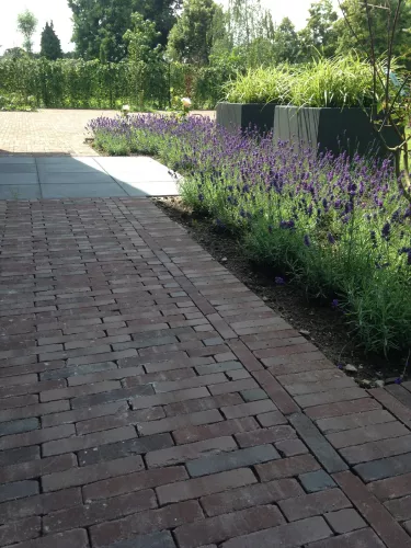 Vandersanden 1000x WF60 Gebakken klinker Bergamo Antica  (SPWR0808A7BG.OOTM)