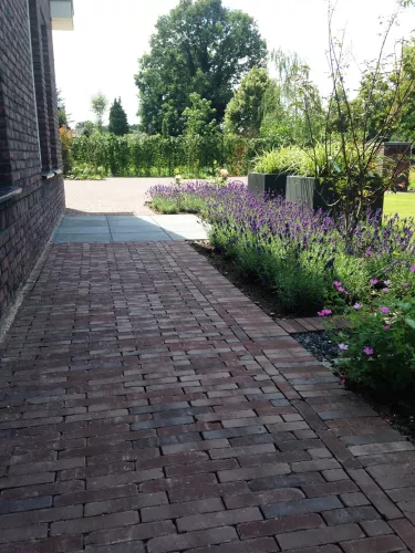 Vandersanden 1000x WF60 Gebakken klinker Bergamo Antica  (SPWR0808A7BG.OOTM)