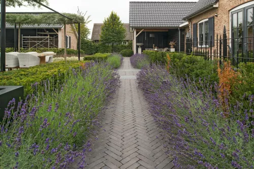 Vandersanden 960x WF60 Gebakken klinker Carbona Antica  (SPWR0811A6OG.OOTM)