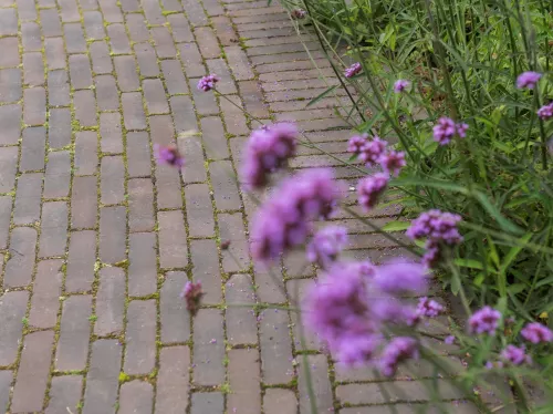 van der sanden 1000x WF60 Gebakken klinker Iseo Antica  (SPWR0826A7BG.OOTM)