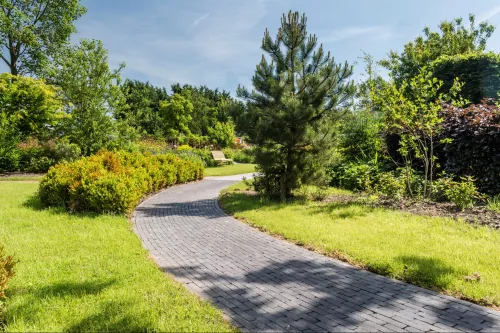 van der sanden 1000x WF60 Gebakken klinker Lucca Antica  (SPWR0829A7BG.OOTM)