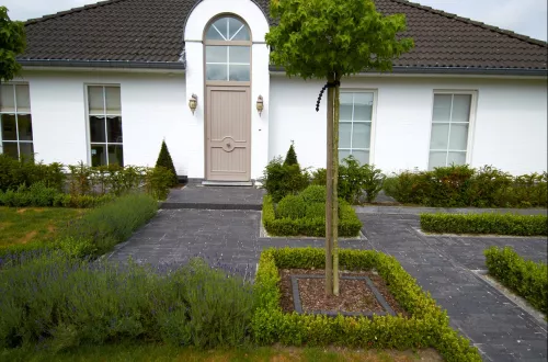 van der sanden 1000x WF60 Gebakken klinker Lucca Antica  (SPWR0829A7BG.OOTM)