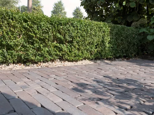 van der sanden 1000x WF60 Gebakken klinker Lugano Antica  (SPWR0830A7BG.OOTM)