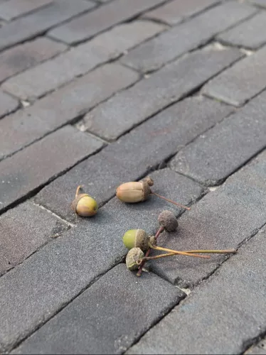 van der sanden 1000x WF60 Gebakken klinker Lugano Antica  (SPWR0830A7BG.OOTM)