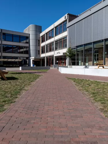 van der sanden 1000x WF60 Gebakken klinker Novara Antica  (SPWR0836A7BG.OOTM)