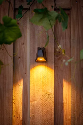 LightPro Tiga DL (209S)