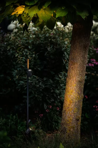 LightPro Juno Tube (213S)