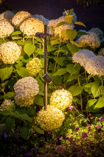 LightPro Juno Tube (213S)