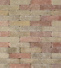 Trommelsteen 20x5x7 terrageel
