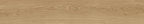 Mirage Oudh