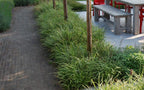 Rustiek Waalformaat UWF60 Pastorale