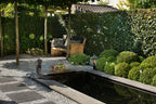 Bluestone Vijverrand 100x30x3 Primo