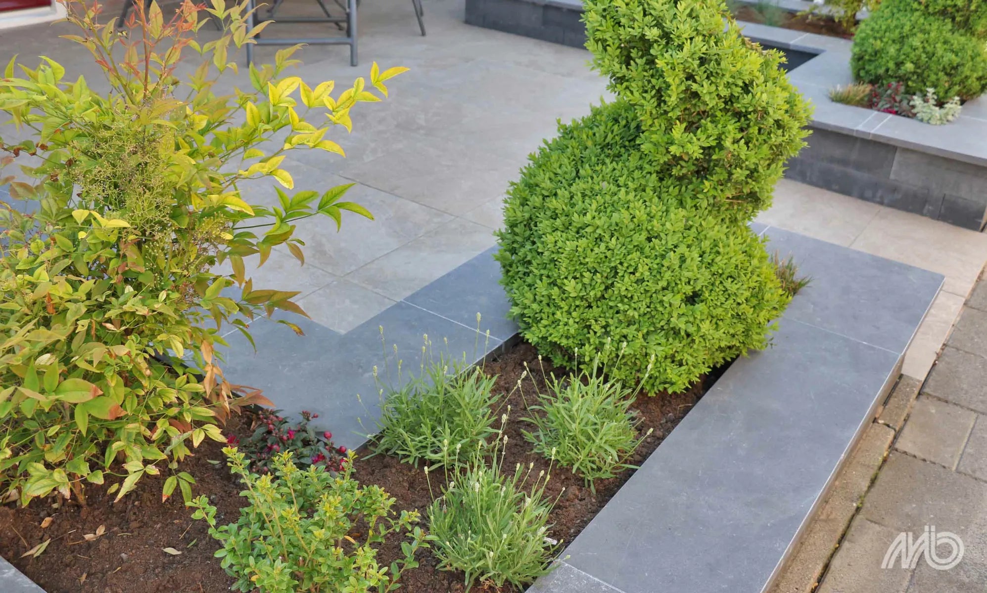 Bluestone Vijverrand 3x15x100 Primo