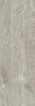 wood-driftwood