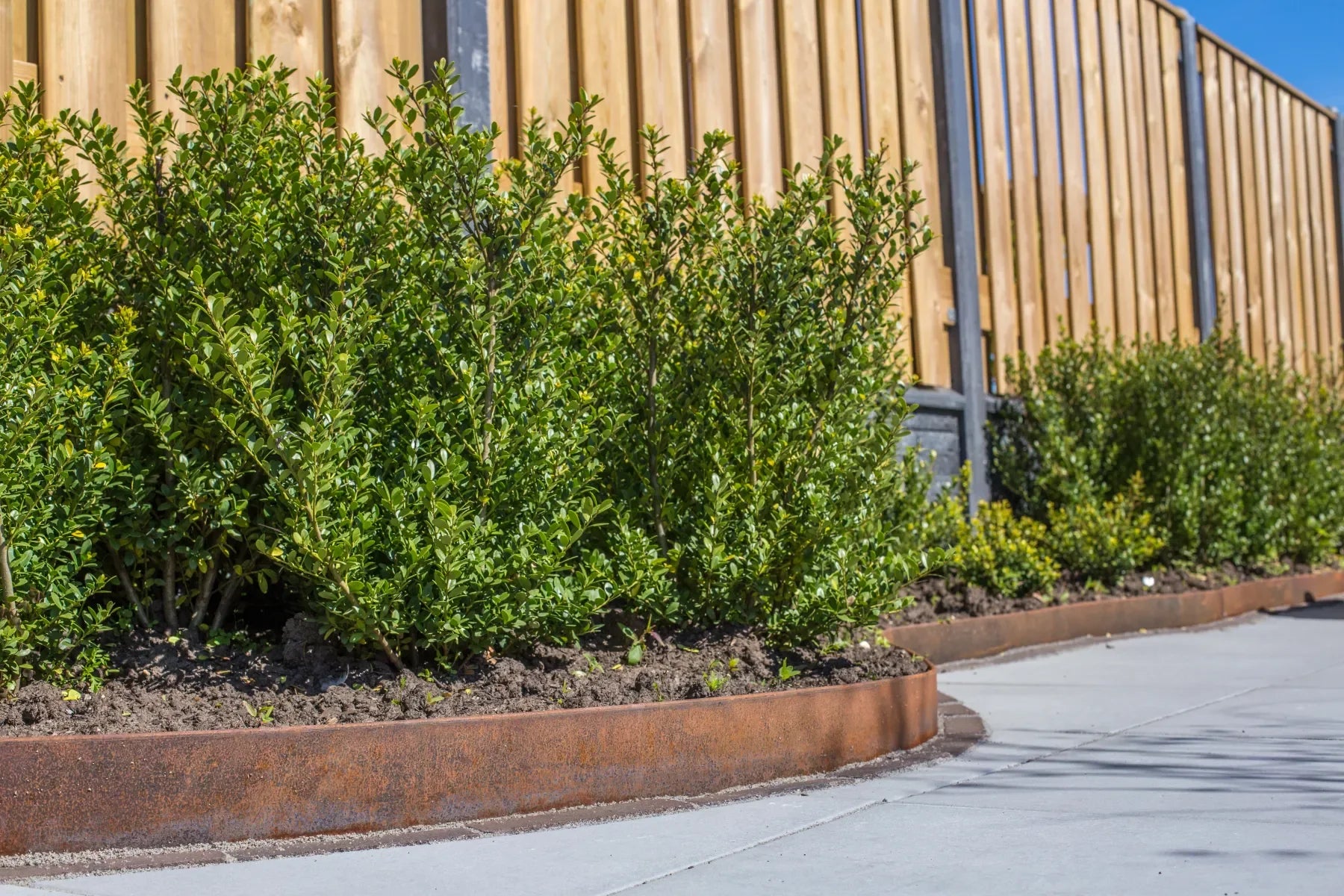 Flexline Corten 10cm L=220cm
Incl. 3 verzinkte pennen 35cm