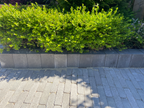 Wallblock New Taupe