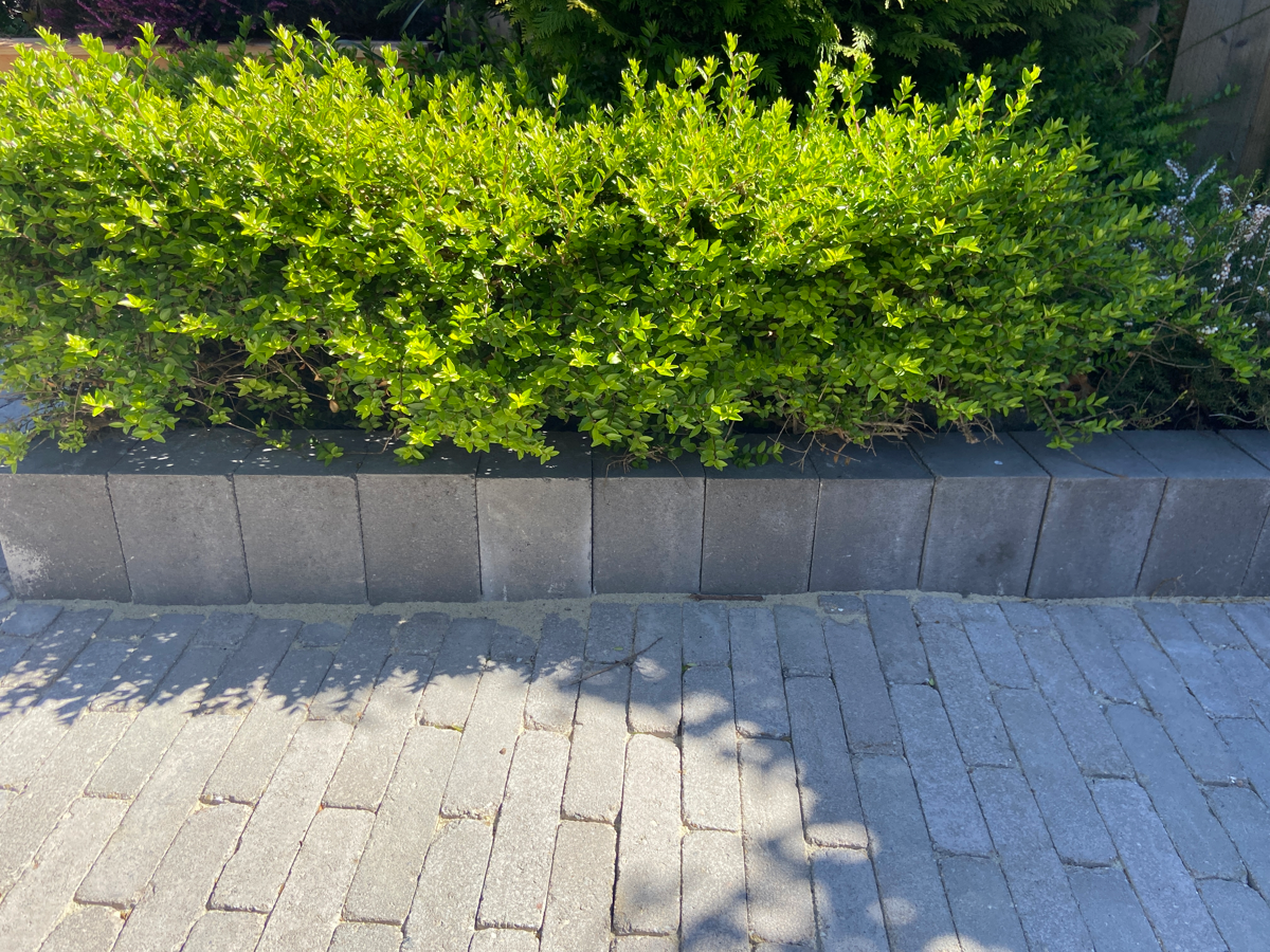 Wallblock New Taupe