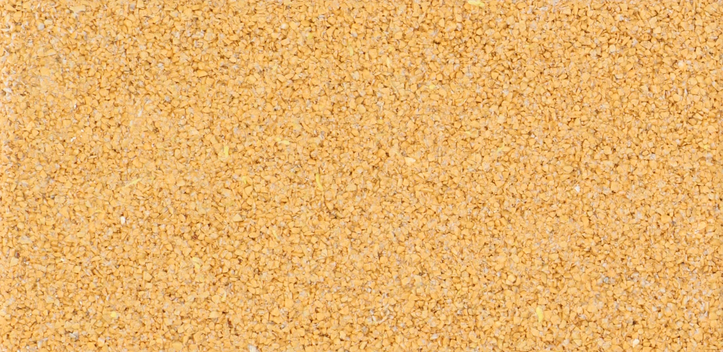 zoak