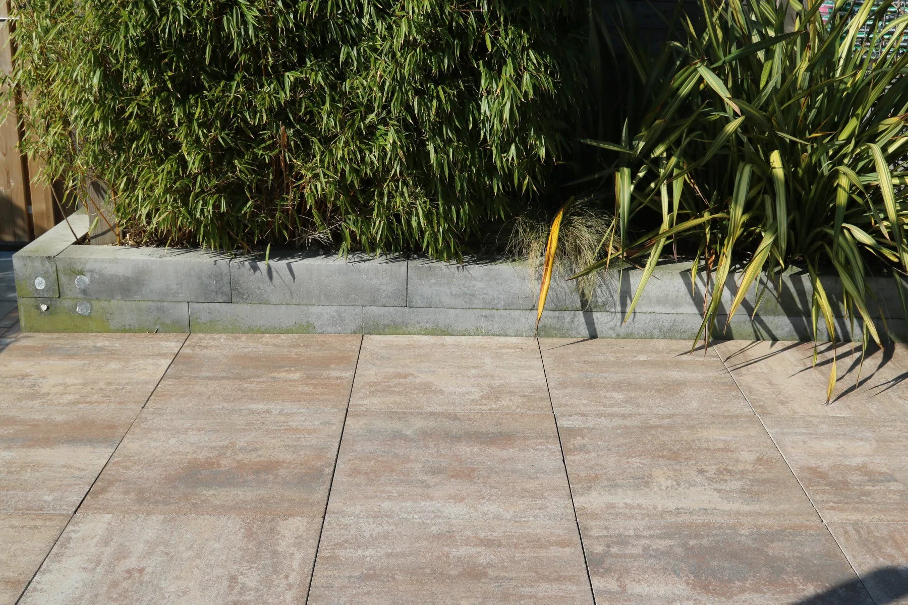 Furora+ Light Bronze 60x60x4,4cm