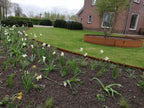 Flexline Corten 40cm L=216cm
Incl. 5 verzinkte grondnagels 30cm + 1 verbindingsset