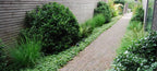 Rustiek Waalformaat UWF60 Pastorale