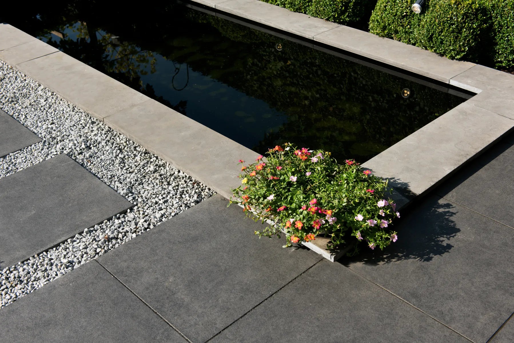 Bluestone Vijverrand 100x30x3 Primo