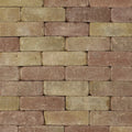 Trommelsteen 21x7x7 terrageel