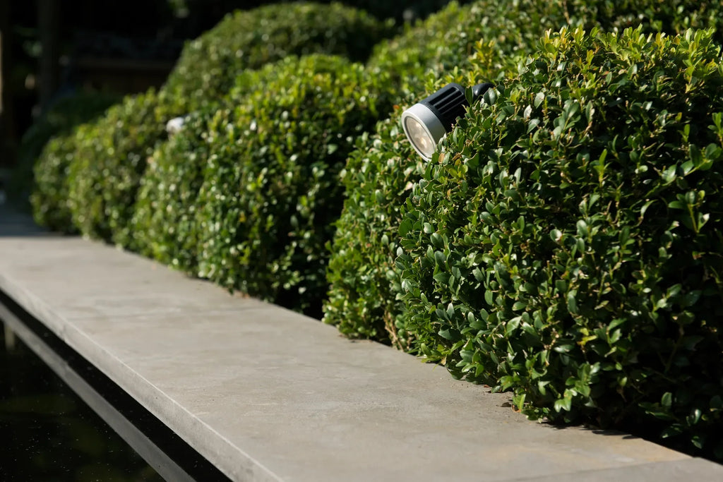 Bluestone Vijverrand 100x30x3 Primo