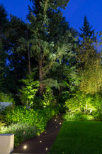 In-Lite Big Scope Narrow 12V