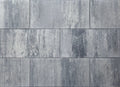 Tremico 6cm 30x60cm Zeeuws bont