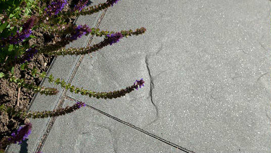 geotops ardesia cannobio