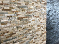 Steenstrips Rockface Elefent teeth z-vorm