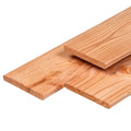 Tuinplank Douglas Gedroogd en Geschaafd 1,6x14x400cm