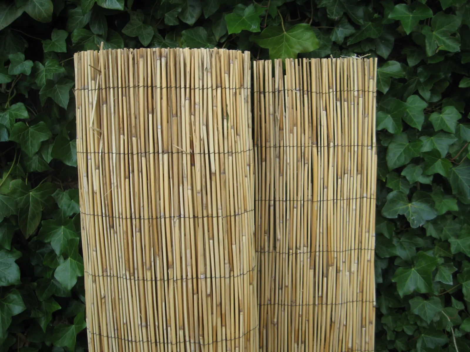 Tonkinmat H=180xL=500