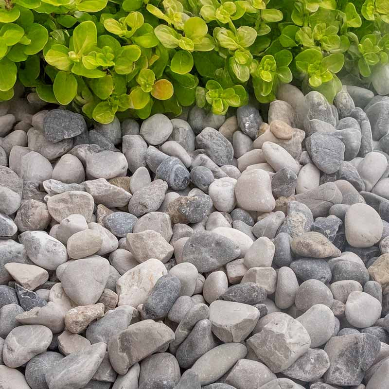 Alpengrind (Castle grey)