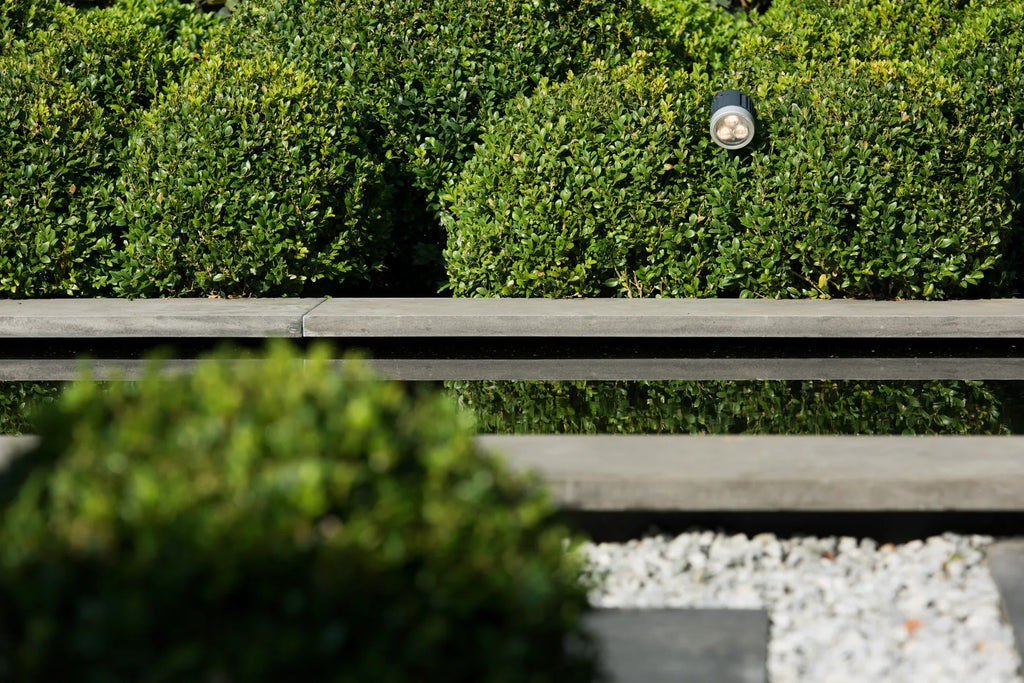 Bluestone Vijverrand 100x30x3 Primo
