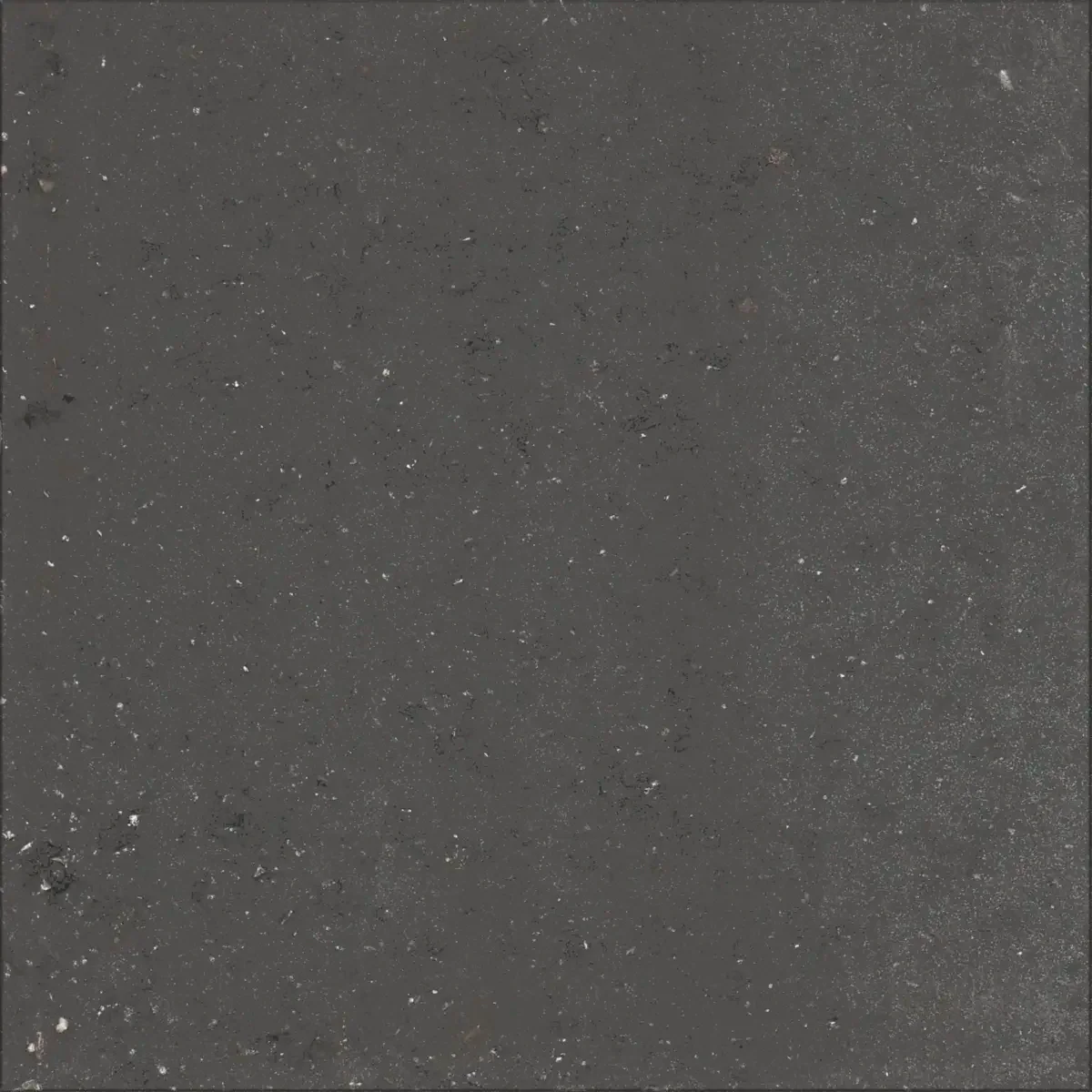 Carré tegel 50x50x5 vlak KOMO nero