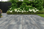 Nova Coral 60x60x4cm