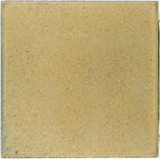 Dreentegel Nxt Comfort Ginger 50x50x4,5