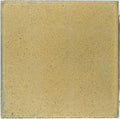 dreentegel-nxt-comfort-ginger