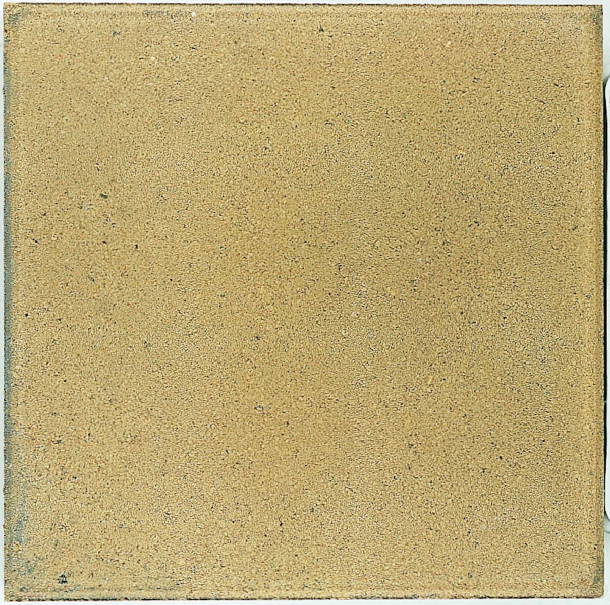 dreentegel-nxt-comfort-ginger