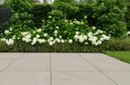 Cerasolid Lucca Almond 90x90x3cm
