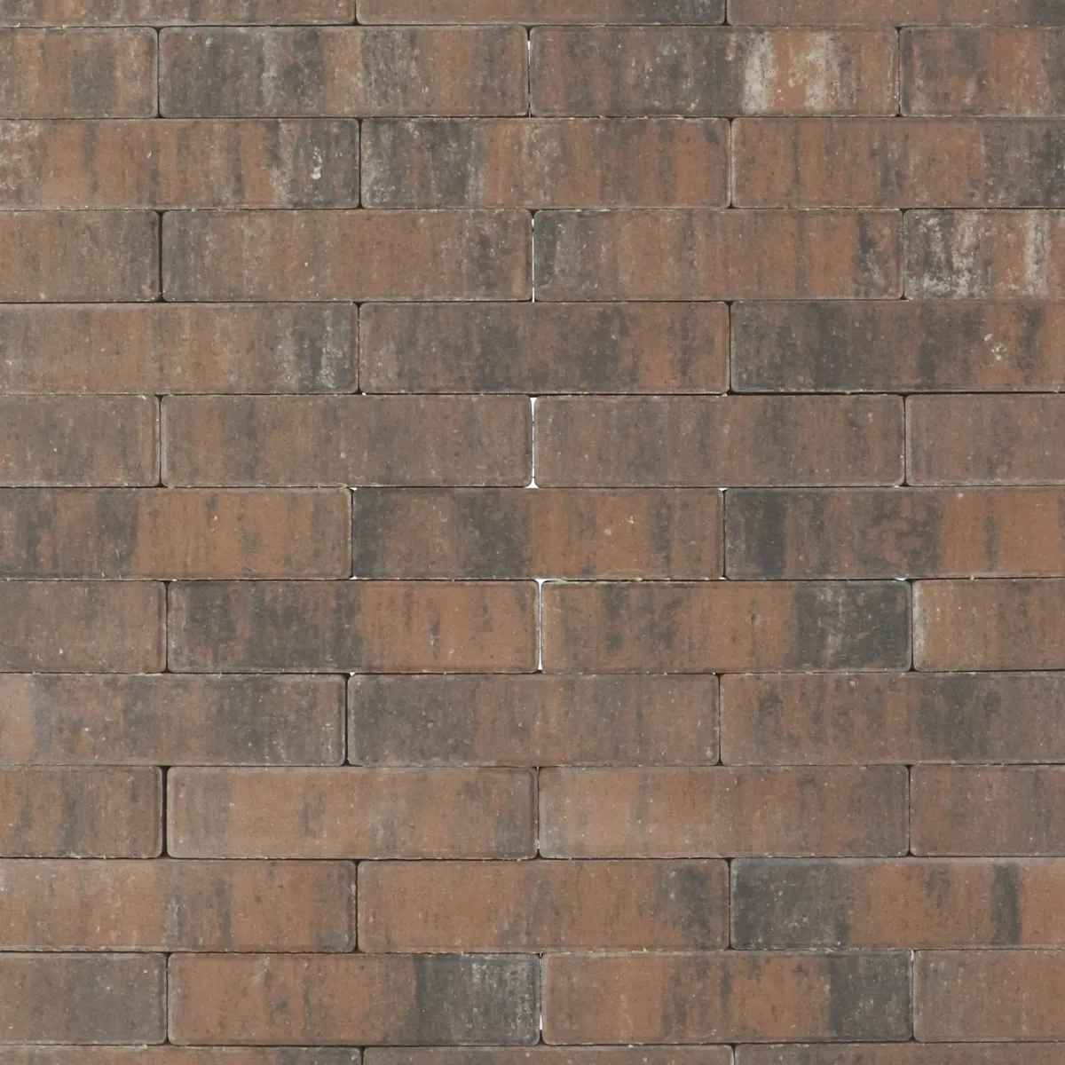 texels-wf-6cm