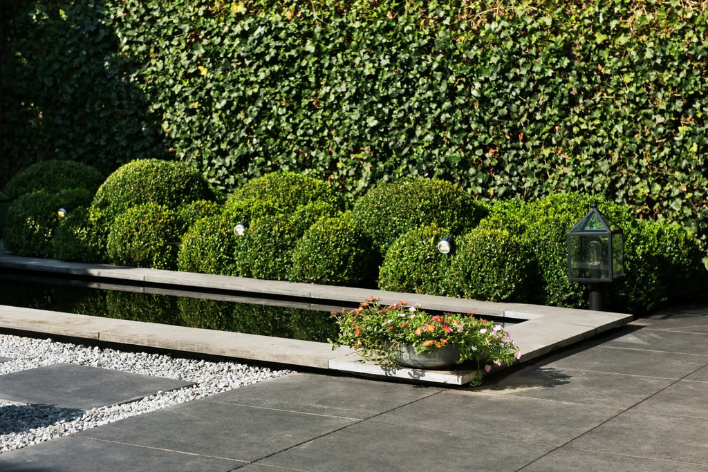 Bluestone Vijverrand 100x30x3 Primo