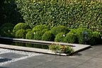 Bluestone Vijverrand 100x30x3 Primo