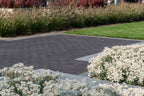 Milano