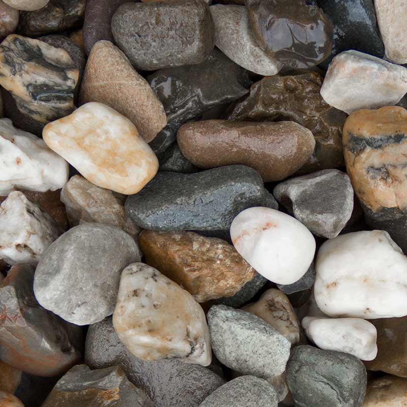 Maasgrind/ Boerengrind