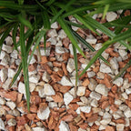 Mediterranea split