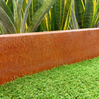 Multi-Edge PROFILE