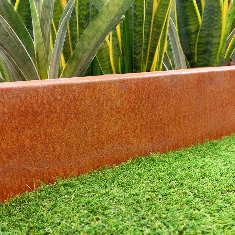 Multi-Edge PROFILE